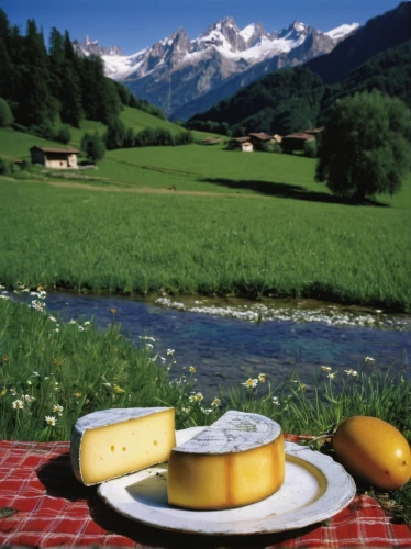 gruyere you savoie,gruyère cheese,fontina val d'aosta cheese,gruyere,emmenthal cheese,saint-paulin cheese,emmental cheese,camembert cheese,emmental,bresse bleu cheese,pecorino sardo,emmenthaler cheese,pont l'eveque cheese,asiago pressato,el-trigal-manchego cheese,appenzeller,camembert,valais,south tyrol,alpine pastures,Photography,Black and white photography,Black and White Photography 14