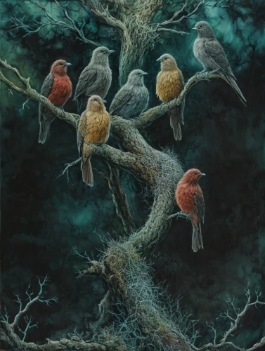 birds on a branch,birds on branch,songbirds,group of birds,bird robins,bird painting,flock of birds,perched birds,society finches,wild birds,perching birds,the birds,finches,bird kingdom,cardinals,bird bird kingdom,house finches,colorful birds,passerine parrots,birds perched