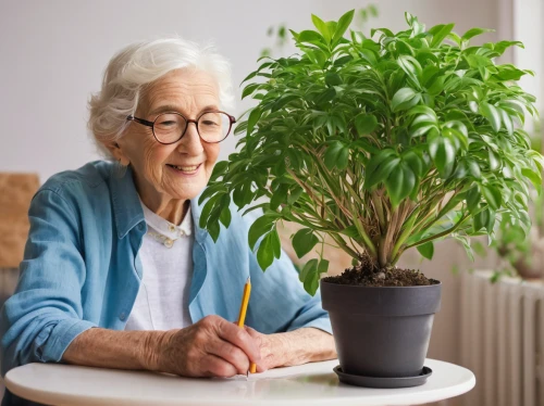 care for the elderly,elderly lady,elderly person,elderly people,houseplant,older person,respect the elderly,medicinal plants,potted plant,homeopathically,flower arranging,elder,elderly,money plant,shrub watering,nanas,medicinal herbs,plant pathology,carnation coloring,pensioner,Conceptual Art,Fantasy,Fantasy 09