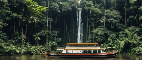 rain forest,backwaters,boat landscape,wooden boat,long-tail boat,taxi boat,vietnam,southeast asia,gondolas,borneo,kerala,tropical jungle,water transportation,floating market,water taxi,rainforest,boat rapids,floating on the river,ubud,philippines,Photography,Fashion Photography,Fashion Photography 14