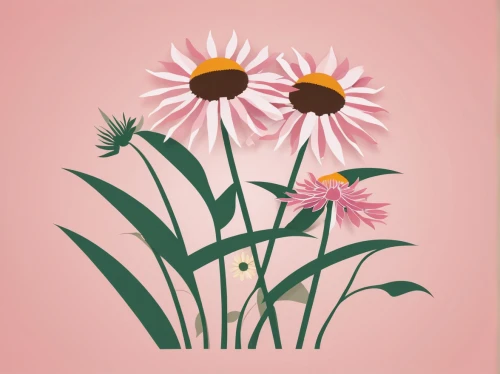 flowers png,coneflowers,wood daisy background,leucanthemum,flower illustrative,minimalist flowers,flower illustration,echinacea,flower background,pink daisies,flower and bird illustration,coneflower,floral digital background,gerbera daisies,echinacea purpurea,leucanthemum maximum,flower painting,ox-eye daisy,chrysanthemum background,floral greeting card,Unique,Paper Cuts,Paper Cuts 05