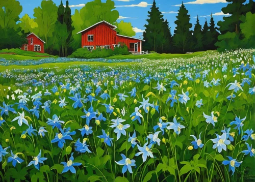 blue daisies,finland,salt meadow landscape,field of flowers,scandinavia,lilies of the valley,blue flowers,camas,flower field,meadow landscape,daffodil field,springtime background,flowers field,blooming field,siberian squill,spring meadow,home landscape,summer meadow,lilly of the valley,blanket of flowers,Illustration,Children,Children 05