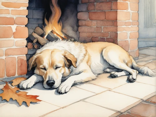 dog illustration,watercolor dog,scent hound,canidae,american foxhound,dog drawing,fire place,warmth,fireplace,fireside,christmas fireplace,fireplaces,english foxhound,yule log,warming,log fire,pet portrait,warm and cozy,dog house frame,hearth,Illustration,Retro,Retro 19