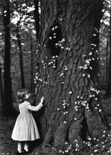 girl with tree,the girl next to the tree,ballerina in the woods,linden blossom,mirabelle tree,to collect chestnuts,magnolia tree,the roots of trees,cloves schwindl inge,a young tree,magic tree,happy children playing in the forest,vinegar tree,tree heart,laurel cherry,treeing feist,birch tree,blossom tree,throwing leaves,the branches of the tree,Photography,Black and white photography,Black and White Photography 13