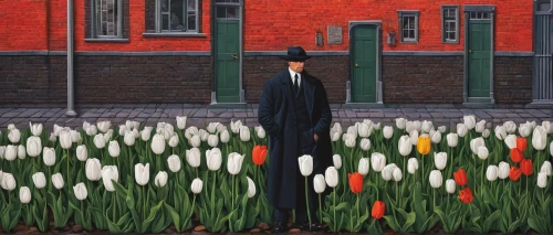 two tulips,tulip festival,tulips,tommie crocus,tulip field,red tulips,jonquils,tulips field,daffodils,tulip fields,spring onions,tulipa,crocuses,tulipa tarda,calla lilies,orange tulips,tulip flowers,standing man,spring onion,the trumpet daffodil,Conceptual Art,Daily,Daily 29