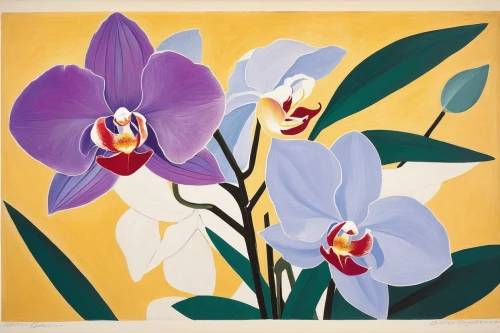 mixed orchid,irises,orchids,phalaenopsis,calla lilies,flowers png,moth orchid,purple irises,wild orchid,cattleya,floral composition,tulipan violet,lillies,phalaenopsis equestris,orchid,cypripedium,flower painting,laelia,wild iris,callas,Art,Artistic Painting,Artistic Painting 35
