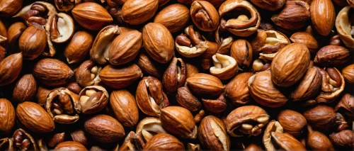almond nuts,roasted almonds,indian almond,pine nuts,almonds,pecan,salted almonds,pine nut,unshelled almonds,almond,argan,cocoa beans,almond oil,salak,seeds,dried cloves,mixed nuts,italian nuts,nuts & seeds,roasted chestnut,Illustration,Realistic Fantasy,Realistic Fantasy 47