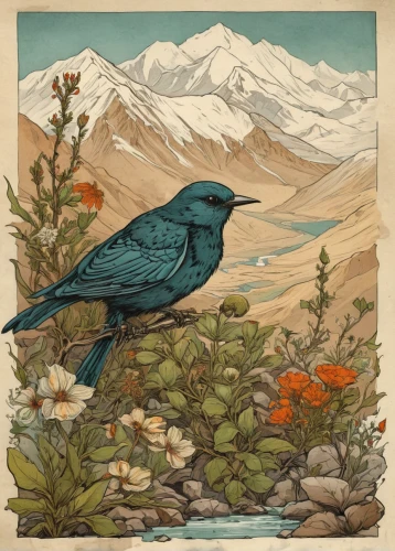 brewer's blackbird,rusty blackbird,flower and bird illustration,western bluebird,bird illustration,mountain bluebird,indigo bunting,bluebird perched,tanager,grackle,blue rock thrush,blue wren,lazuli bunting,blue birds and blossom,mountain jackdaw,pied bush chat,bluebird,bird painting,magnolia warbler,steller s jay,Illustration,Children,Children 04