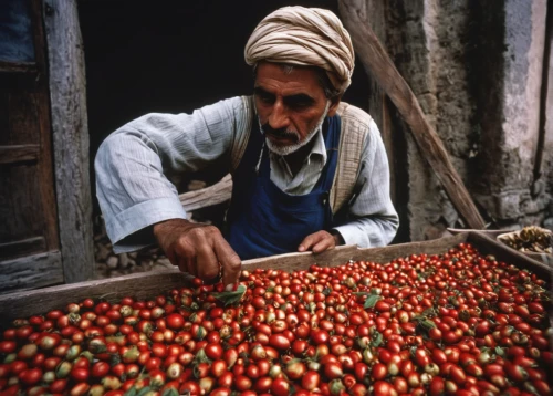 indian jujube,roma tomatoes,arabica,cherry tomatoes,greed,vine tomatoes,red gooseberries,grape tomatoes,plum tomato,afghani,tamarillo,indian gooseberry,tomatos,small tomatoes,afghanistan,european gooseberries,omani,tomatoes,red tomato,goji,Photography,Documentary Photography,Documentary Photography 12