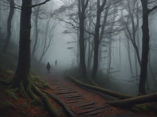 foggy forest,forest path,the mystical path,hiking path,wooden path,foggy landscape,haunted forest,the path,appalachian trail,forest walk,foggy mountain,hollow way,germany forest,autumn fog,path,trail,dense fog,fog,pathway,tree top path,Illustration,Realistic Fantasy,Realistic Fantasy 44