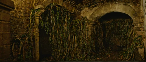 plant tunnel,tunnel of plants,hall of the fallen,background ivy,crypt,grotto,catacombs,creepy doorway,vines,portal,cementerio de colòn,el arco,archway,passage,corridor,mausoleum ruins,vine plants,luminous garland,flowering vines,constantine arch,Illustration,Retro,Retro 06