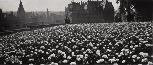 concert crowd,crowd of people,crowds,cologne cathedral,cologne,stieglitz,1929,crowd,1925,all saints' day,1926,nuremberg,santarun,shrovetide,the crowd,1921,world war 1,1940,pilgrims,plague,Photography,Black and white photography,Black and White Photography 15