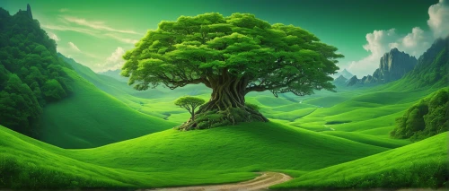 cartoon video game background,green tree,green forest,green wallpaper,green landscape,landscape background,patrol,forest background,green background,children's background,green,green trees,background vector,aaa,forest tree,celtic tree,green valley,isolated tree,fir green,mobile video game vector background,Photography,Documentary Photography,Documentary Photography 24
