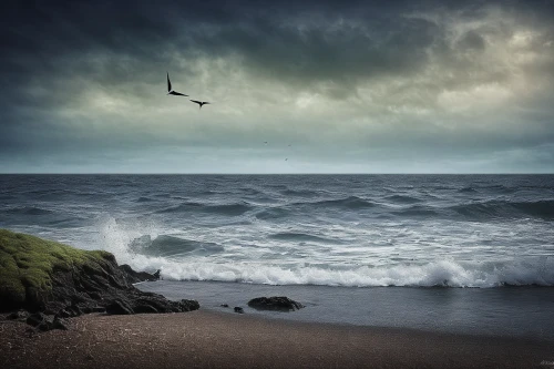 stormy sea,seascape,grey sea,seascapes,dark beach,black beach,sea storm,the wind from the sea,the north sea,north sea coast,north sea,black sea,baltic sea,the baltic sea,ebb,sea landscape,black sand,the sea,wind wave,seashore,Photography,Documentary Photography,Documentary Photography 26