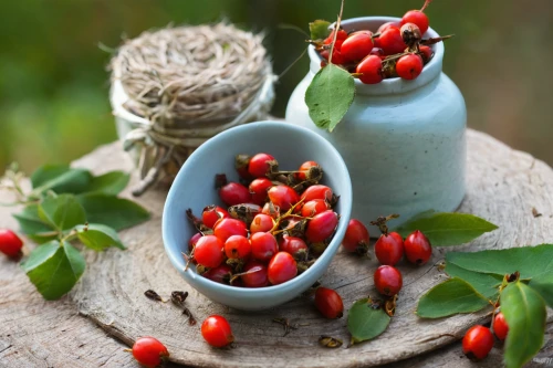 rose hip fruits,rose hip berries,rose hip ingredient,rose hip plant,rose hip seeds,rose hip bush,rosehip berries,rose hip oil,ripe rose hips,green rose hips,rose hips,mountain ash berries,rose hip,coffee fruits,rowanberry,rosehips,red berries,siberian ginseng,cape goose berries,peppercorns,Art,Classical Oil Painting,Classical Oil Painting 24