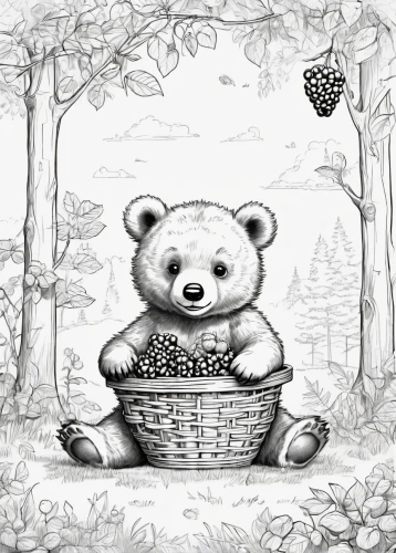 basket of fruit,picnic basket,basket of apples,truffles,blackberries,fruit basket,wicker basket,little bear,cute bear,frutti di bosco,rubus,basket maker,game illustration,crate of fruit,basket with apples,fruit preserve,scandia bear,coloring page,buffalo plaid bear,bear,Unique,Design,Blueprint