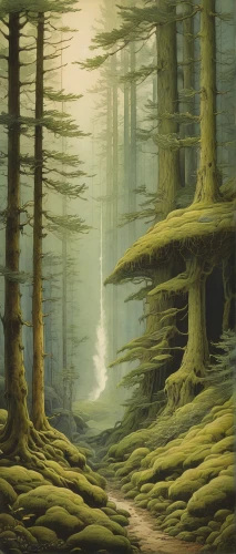 spruce forest,old-growth forest,coniferous forest,fir forest,forest landscape,spruce-fir forest,pine forest,temperate coniferous forest,forest glade,elven forest,larch forests,forest floor,green forest,deciduous forest,beech forest,forest,the forests,mushroom landscape,the forest,forests,Illustration,Retro,Retro 19