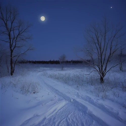 night snow,moonlit night,midnight snow,winter landscape,winter dream,snowy landscape,moonlit,moon seeing ice,snow landscape,blue moon,night image,winter magic,moon night,russian winter,jupiter moon,moonbow,snow trail,finnish lapland,cross-country skiing,night photograph,Photography,Documentary Photography,Documentary Photography 07