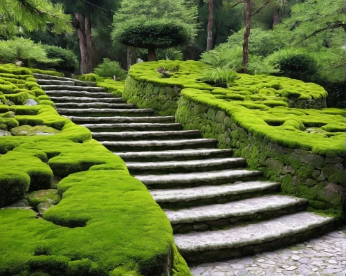 japan garden,japanese zen garden,ginkaku-ji,japanese garden,kyoto,zen garden,winding steps,arashiyama,ritsurin garden,japanese garden ornament,ginkaku-ji temple,terraced,sake gardens,kumano kodo,patrol,green garden,aaa,淡島神社,kinkakuji,japan landscape,Photography,Fashion Photography,Fashion Photography 11