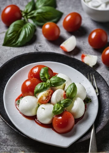 caprese salad,caprese,insalata caprese,bocconcini,tomato mozzarella,torta caprese,burrata,mozzarella,roma tomatoes,sicilian cuisine,cicchetti,food photography,mediterranean diet,basil total,mozarella,mediterranean cuisine,italian cuisine,parmigiana,plum tomato,italian food,Photography,Documentary Photography,Documentary Photography 24