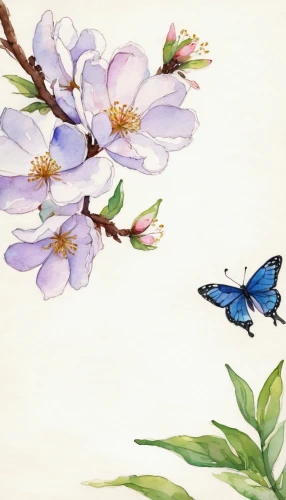 blue birds and blossom,almond blossoms,flower and bird illustration,flower painting,watercolor floral background,butterfly background,blue butterfly background,illustration of the flowers,ulysses butterfly,flower illustration,apple blossoms,japanese floral background,watercolour flowers,almond blossom,butterfly floral,watercolour flower,watercolor background,watercolor flowers,apple blossom branch,watercolor flower,Illustration,Paper based,Paper Based 07