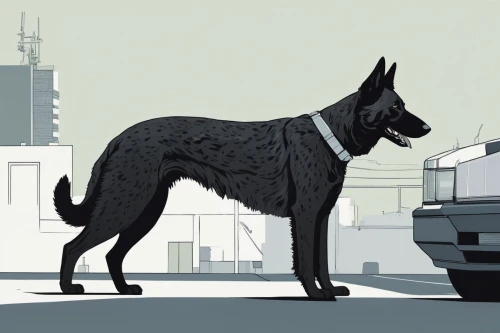 dog illustration,belgian shepherd,belgian shepherd malinois,belgian shepherd dog,black shepherd,gsd,a police dog,police dog,black german shepherd,german shepherd,giant schnauzer,working dog,canidae,malinois,standard schnauzer,scent hound,dog line art,german shepherd dog,dutch shepherd dog,king shepherd,Illustration,Vector,Vector 10