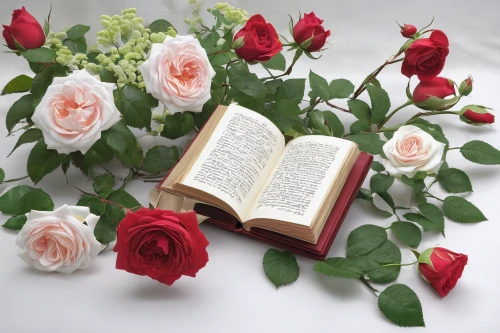 bookmark with flowers,rose arrangement,noble roses,bible pics,rose bouquet,garden roses,rose flower illustration,hymn book,bouquet of roses,scrapbook flowers,romantic rose,heart shape rose box,saint valentine's day,flower rose,book gift,flowers png,rose blooms,saint therese of lisieux,blooming roses,prayer book,Conceptual Art,Daily,Daily 13