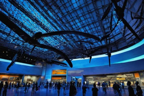 glass roof,maximilianeum,ozeaneum,futuristic art museum,artscience museum,air space museum,blue whale,a museum exhibit,museum of science and industry,glass wings,soumaya museum,structural glass,birds blue cut glass,california academy of sciences,aquariums,smithsonian,bird wing,blue hour,the museum,aquarium lighting,Illustration,Black and White,Black and White 10