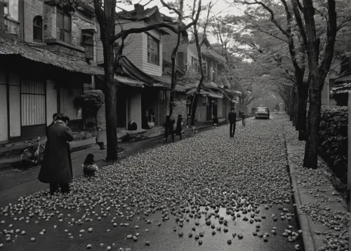 cobblestones,suzhou,old linden alley,the cobbled streets,cobblestone,to collect chestnuts,stieglitz,cobbles,dongfang meiren,xi'an,cobble,mitarashi dango,cherry blossom tree-lined avenue,tangyuan,pearl river,wild strawberries,narrow street,ginko,street scene,ginkgo,Photography,Black and white photography,Black and White Photography 14