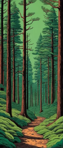pine forest,forest road,forest path,coniferous forest,cartoon forest,spruce forest,green forest,pine trees,fir forest,forest,forest landscape,forest walk,the forest,forests,the forests,redwoods,woodcut,pathway,forest background,woods,Illustration,American Style,American Style 15