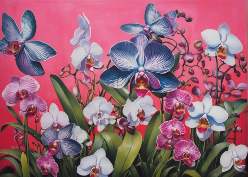 orchids,mixed orchid,irises,flower painting,tulipan violet,wild orchid,purple irises,phalaenopsis,lillies,cypripedium,floral composition,gentians,moth orchid,calochortus,carol colman,orchid,lilies,wild tulips,bulbous flowers,wild iris,Illustration,Realistic Fantasy,Realistic Fantasy 24