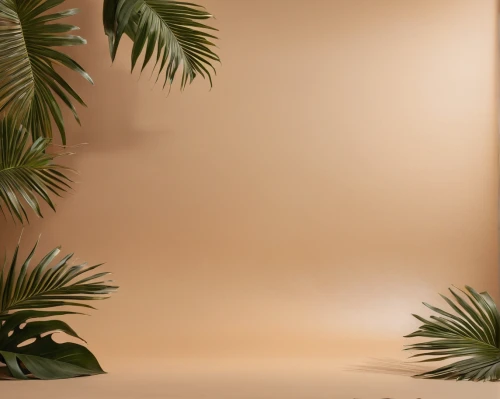 tropical floral background,palm tree vector,pineapple background,palm leaves,palmtree,palm fronds,palm forest,palm leaf,peach palm,palms,palmtrees,palm branches,tropical house,wall,royal palms,pineapple wallpaper,palm,palm field,palm tree,palm silhouettes,Photography,General,Natural