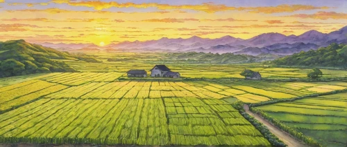 yamada's rice fields,the rice field,rice field,rice fields,ricefield,rice terrace,rural landscape,farm landscape,aso kumamoto sunrise,rice paddies,ha giang,straw field,paddy field,japan landscape,rice mountain,rice terraces,green fields,wheat field,barley field,landscape background,Illustration,Japanese style,Japanese Style 18