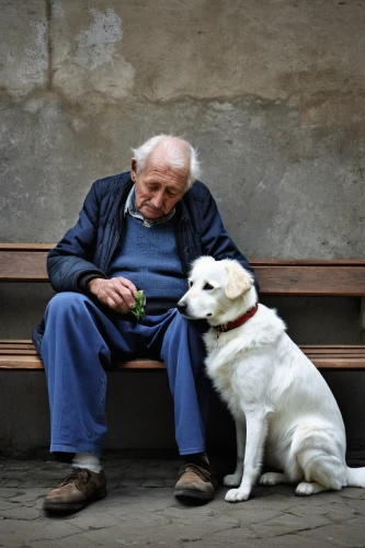 companionship,care for the elderly,elderly man,pensioner,old couple,old age,elderly people,human and animal,elderly person,older person,caregiver,companion dog,compassion,old human,mans best friend,boy and dog,old dog,respect the elderly,elderly,retirement home,Photography,Documentary Photography,Documentary Photography 10
