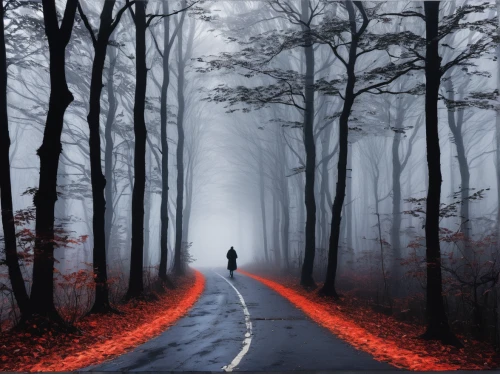 the mystical path,forest road,road of the impossible,road to nowhere,the road,road forgotten,long road,the path,straight ahead,empty road,hollow way,world digital painting,pathway,maple road,winding road,the way,oncoming,crossroad,photomanipulation,woman walking,Conceptual Art,Graffiti Art,Graffiti Art 12