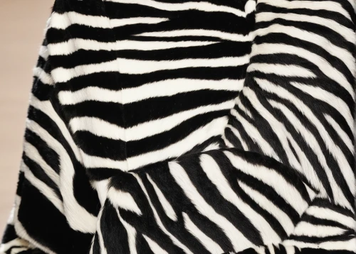 zebra fur,zebra pattern,zebra,diamond zebra,burchell's zebra,black and white pattern,pin stripe,baby zebra,zebras,zebra crossing,stripes,stripe,striped,horizontal stripes,striped background,black paint stripe,quagga,zebra rosa,black and white pieces,zigzag pattern,Photography,Fashion Photography,Fashion Photography 23