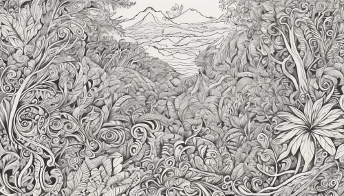 swampy landscape,background ivy,panoramical,tree grove,forests,cartoon forest,mangroves,botanical line art,shrubland,hand-drawn illustration,coloring page,fruit fields,the forests,brushwood,salt meadow landscape,woodcut,vegetation,tree canopy,plants,vines,Illustration,Black and White,Black and White 05