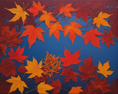 autumnal leaves,maple leave,autumn leaves,autumn leaf paper,fall leaves,colored leaves,maple leaf red,maple leaves,leaves in the autumn,red leaves,fallen leaves,maple foliage,red maple leaf,reddish autumn leaves,oak leaves,fall leaf border,red leaf,maple leaf,colorful leaves,autumn icon,Illustration,Abstract Fantasy,Abstract Fantasy 20