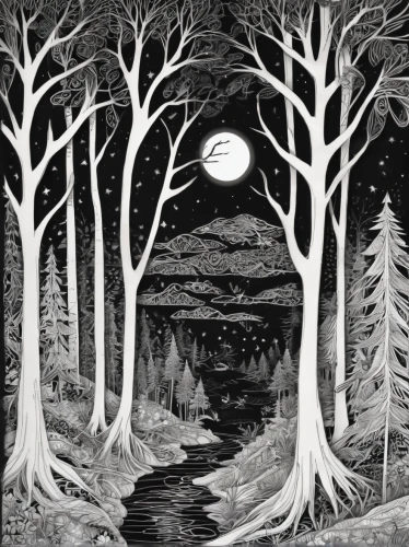 david bates,birch tree illustration,woodcut,cool woodblock images,trees with stitching,the forests,forest landscape,birch forest,tree grove,the trees,night scene,winter forest,forest glade,moonscape,black forest,the night of kupala,brook landscape,spruce forest,enchanted forest,forest of dean,Illustration,Black and White,Black and White 11