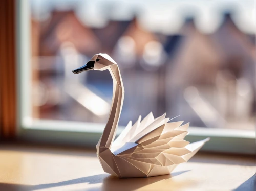 swan boat,trumpet of the swan,trumpeter swan,cygnet,swan,swan on the lake,constellation swan,white swan,grey neck king crane,gooseander,fleur de sel,young swan,ornamental duck,swan cub,the head of the swan,swan baby,paper art,baby swan,crane-like bird,mute swan,Unique,3D,Panoramic