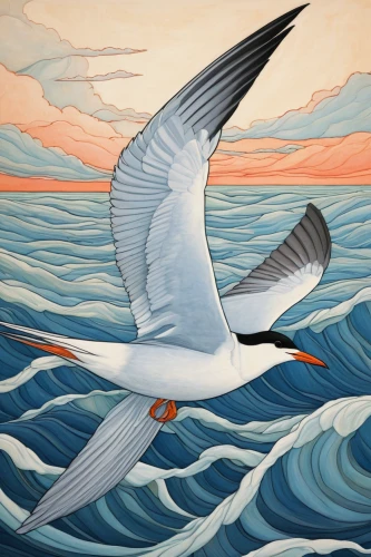 tern bird,tern flying,flying common tern,flying tern,royal tern,tern,forster s tern,common tern,river tern,sea swallow,fairy tern,seabird,arctic tern,caspian tern,silver tern,sandwich tern,little tern,sea-gull,terns,pacific gull,Illustration,Japanese style,Japanese Style 15