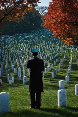 arlington national cemetery,arlington cemetery,unknown soldier,military cemetery,veteran's day,war graves,veterans day,memorial day,arlington,navy burial,soldier's grave,remembrance,tomb of the unknown soldier,tomb of unknown soldier,veterans,cemetery,marine corps memorial,what is the memorial,remembrance day,central cemetery,Conceptual Art,Fantasy,Fantasy 14