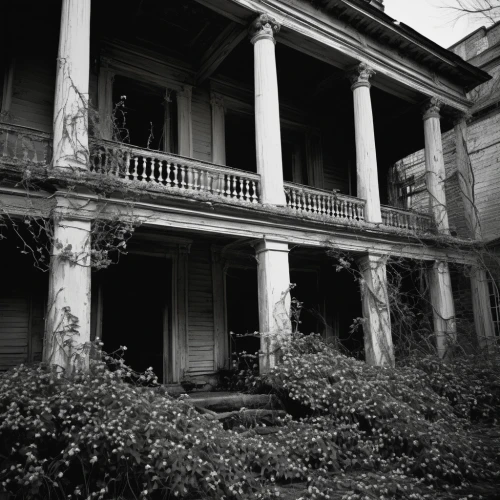 dillington house,henry g marquand house,the haunted house,haunted house,asylum,abandoned house,mansion,ruhl house,old home,creepy house,house facade,porch,house with caryatids,athenaeum,historic house,house front,garden elevation,doll's house,building exterior,victorian,Photography,Black and white photography,Black and White Photography 14
