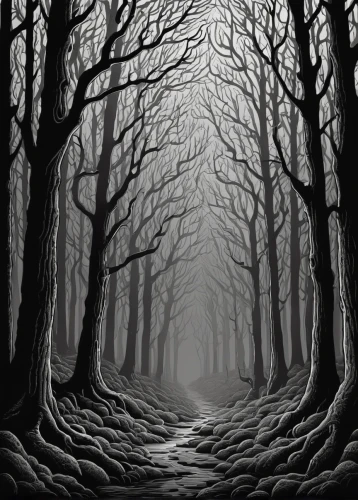 hollow way,haunted forest,forest road,forest path,the dark hedges,forest dark,the mystical path,forest landscape,tree lined path,dark art,the path,black forest,copse,pathway,tree grove,halloween bare trees,the woods,deciduous forest,the forest,wooden path,Illustration,Black and White,Black and White 14