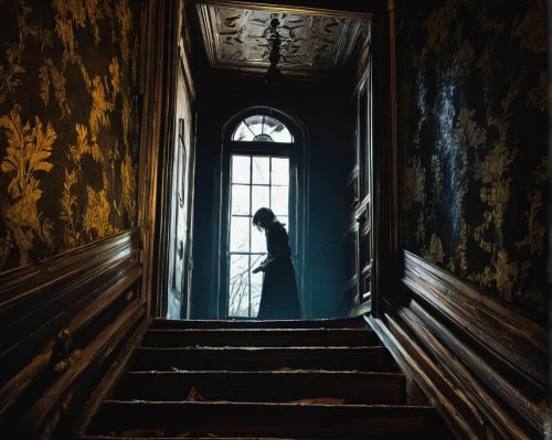 girl on the stairs,stairwell,ghost castle,the threshold of the house,haunted castle,the haunted house,staircase,creepy doorway,haunted house,stairway,outside staircase,abandoned room,haunted,urbex,winding staircase,stair,asylum,a dark room,hall of the fallen,lost places,Conceptual Art,Daily,Daily 16