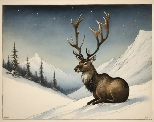 winter deer,elk,deer illustration,christmas deer,reindeer from santa claus,pere davids deer,sleigh with reindeer,rudolph,caribou,elk reposing on lateral moraine,reindeer polar,rudolf,bull elk resting,manchurian stag,raindeer,reindeer,bull elk on lateral moraine,cervus elaphus,vintage christmas card,christmas buffalo raccoon and deer,Illustration,Black and White,Black and White 23