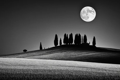 tuscany,moonscape,lunar landscape,moonlit night,moon photography,moonrise,full moon,moonlit,landscape photography,italia,monochrome photography,full moon day,moon night,blackandwhitephotography,monferrato,big moon,super moon,moons,moon valley,moon,Photography,Black and white photography,Black and White Photography 01