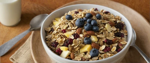 muesli,granola,oat bran,complete wheat bran flakes,cereal grain,steel-cut oats,oat,almond meal,rolled oats,trail mix,whole grains,breakfast cereal,oats,oatmeal,bird food,dry fruit,wheatberry,field of cereals,food grain,cereals,Illustration,American Style,American Style 11