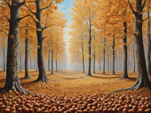 chestnut forest,autumn forest,autumn background,autumn landscape,fall landscape,chestnut trees,autumn trees,tree grove,autumn theme,deciduous forest,autumn scenery,autumn round,the autumn,forest landscape,beech trees,oil painting on canvas,autumn walk,autumn idyll,pumpkin autumn,autumn decoration,Art,Classical Oil Painting,Classical Oil Painting 02