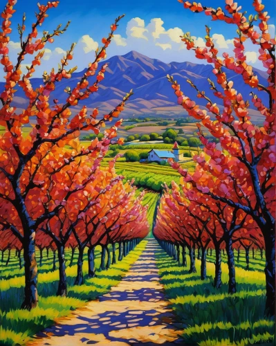 orchards,apple trees,fruit fields,almond trees,apple orchard,autumn landscape,orchard,fall landscape,fruit trees,blossoming apple tree,apple plantation,rural landscape,cherry trees,pathway,apple tree,peach tree,apple mountain,almond tree,maple road,fruit tree,Illustration,American Style,American Style 01